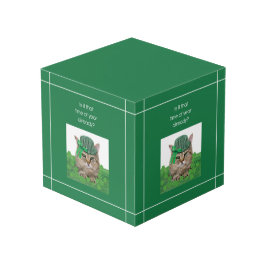 Cubo Gato gracioso en el Día de San Patricio