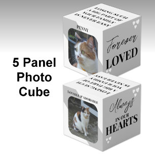 Cubo Gato Simpatía Keepsake Mascota Foto gris conmemora