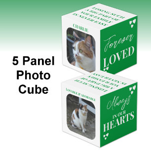 Cubo Gato Simpatía Keepsake Mascota Foto verde conmemor