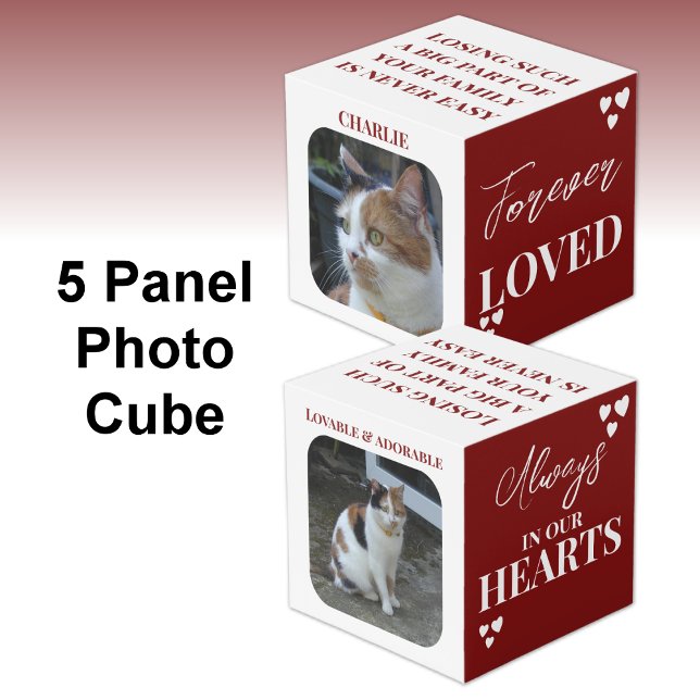 Cubo Gato Simpatía Keepsake Mascota Memorial foto maroo (Subido por el creador)