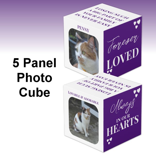 Cubo Gato Simpatía Keepsake Mascota Memorial foto púrpu (Subido por el creador)