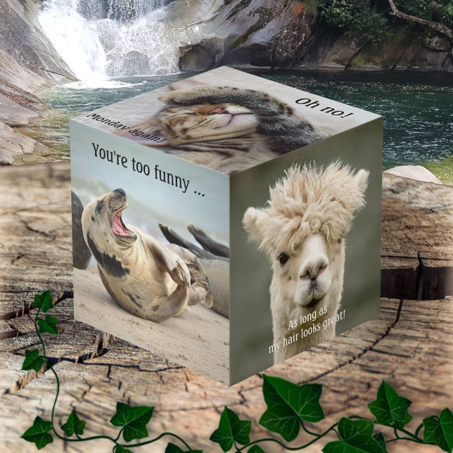 Cubo gracioso de foto para un animal (Photo cube featuring images of funny animals with humorous texts)