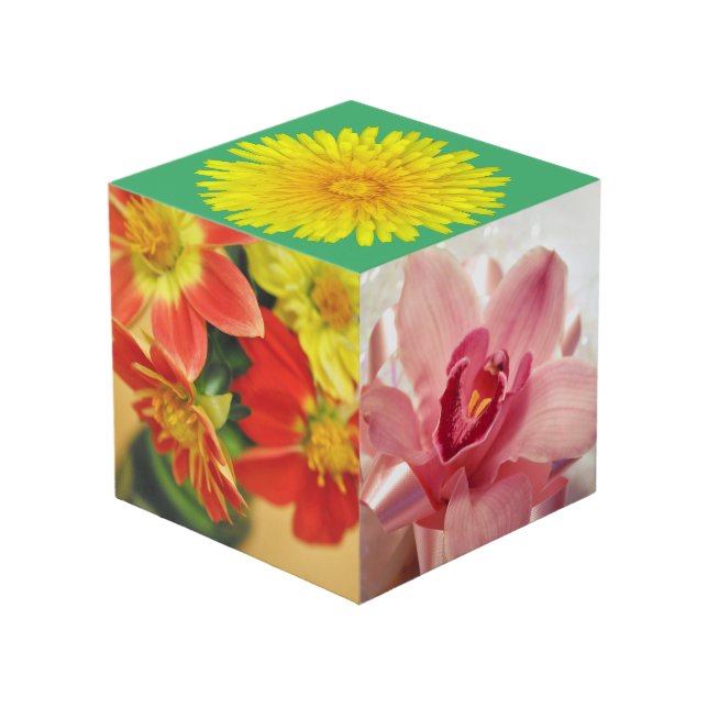 Cubo Jardín en una caja (Angulo reverso)