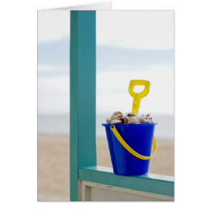 Cubo llenado de los Seashells