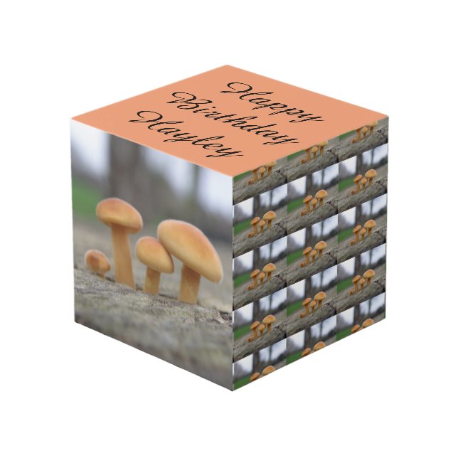 Cubo Macropersonalización de toadstools pequeños (Angulo Anverso)
