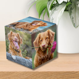 Cubo Mascota Keepsake Perro picante foto