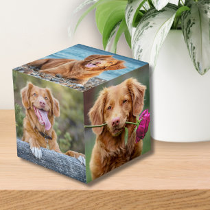 Cubo Mascota Keepsake Perro picante foto