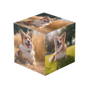 Cubo Mascota personalizado Foto