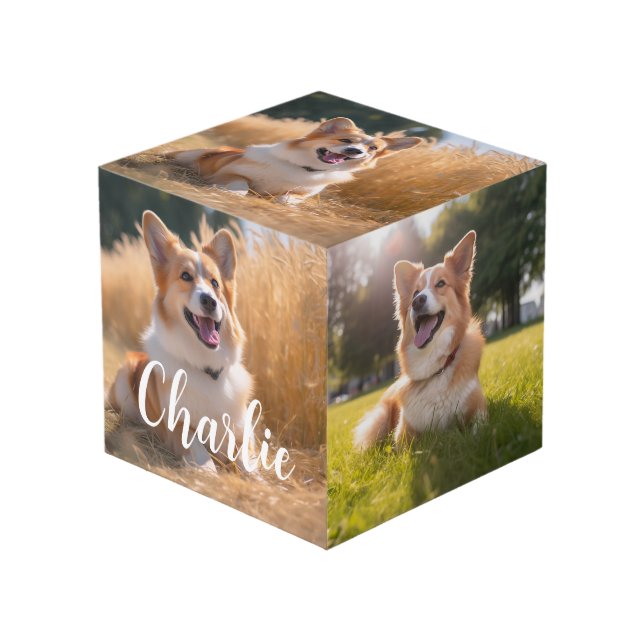 Cubo Mascota personalizado Foto (Angulo Anverso)