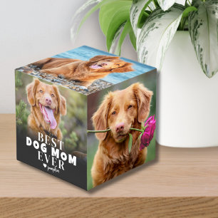 Cubo Mejor Mamá Perro De Todos Los Tiempos Foto De Cach