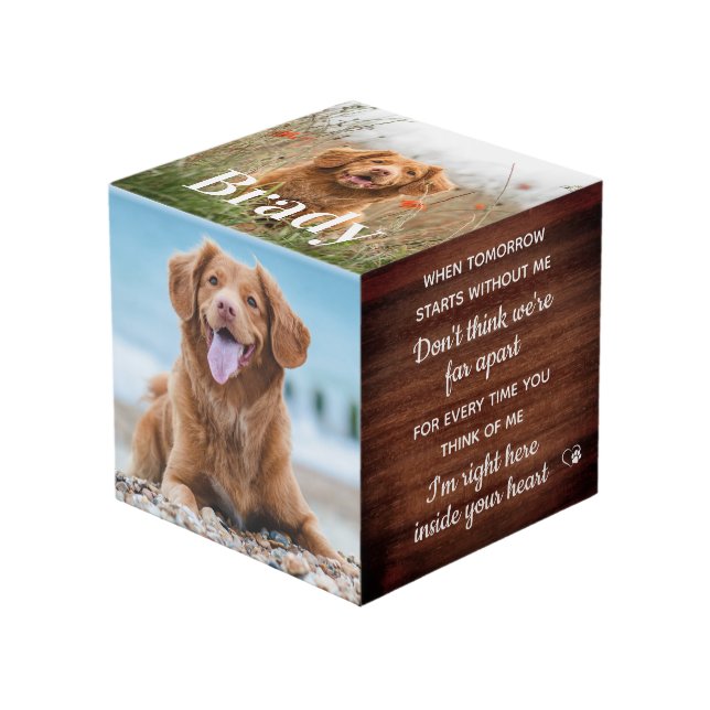 Cubo Memorial mascota recuerdo personalizado foto de pe (Angulo Anverso)