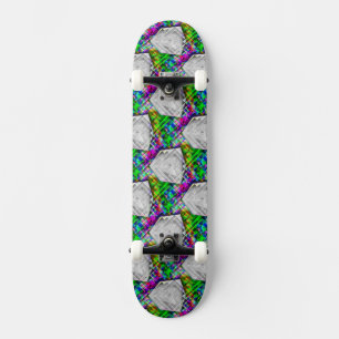 Cubo para skateboard Guay