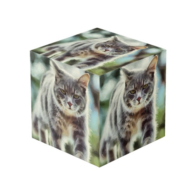 Cubo Pintura de gato (Angulo Anverso)