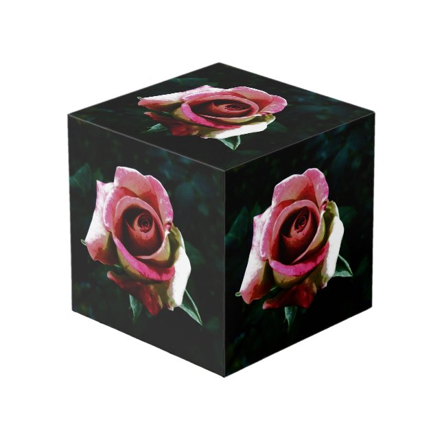 Cubo rosa (Angulo Anverso)