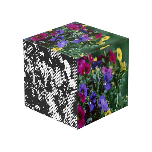 Cubo rosas para la vida (Angulo Anverso)