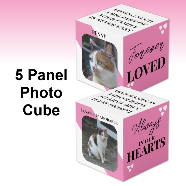 Cubo Simpatía por el gato Mascota Keepsake foto rosa co (Subido por el creador)