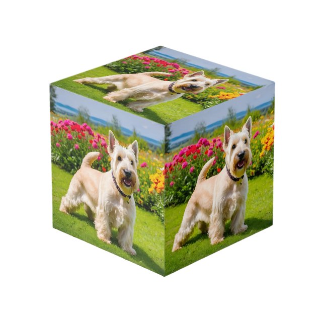 Cubo Terrier Scottie Trigo Perro Flores Césped (Angulo Anverso)