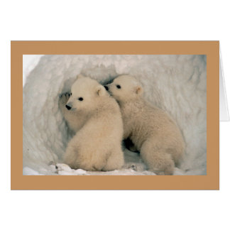 Cubos de oso polar/tarjeta