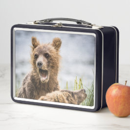 Cubos Grizzly Buscando Su Mamá