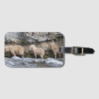 Cubs en las caídas de los arroyos - etiqueta 2 de