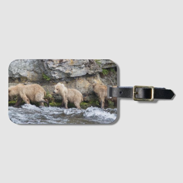 Cubs en las caídas de los arroyos - etiqueta 2 de (Anverso horizontal)