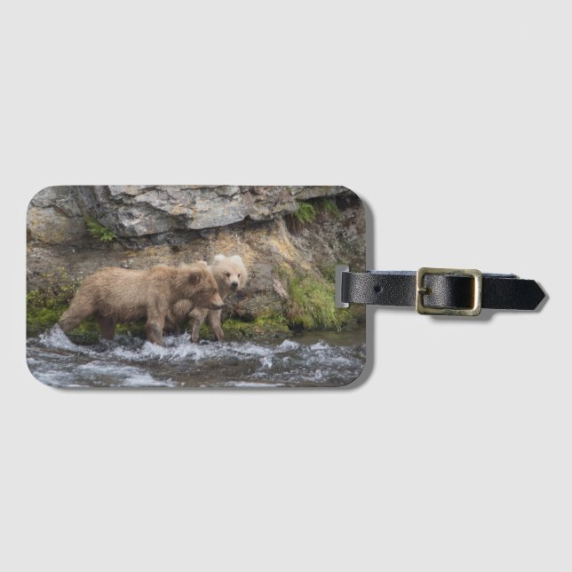 Cubs en las caídas de los arroyos - etiqueta de (Anverso horizontal)