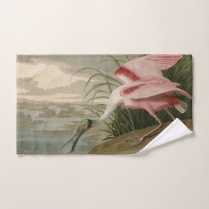 Cucharada de rosas de los pájaros de América de Au