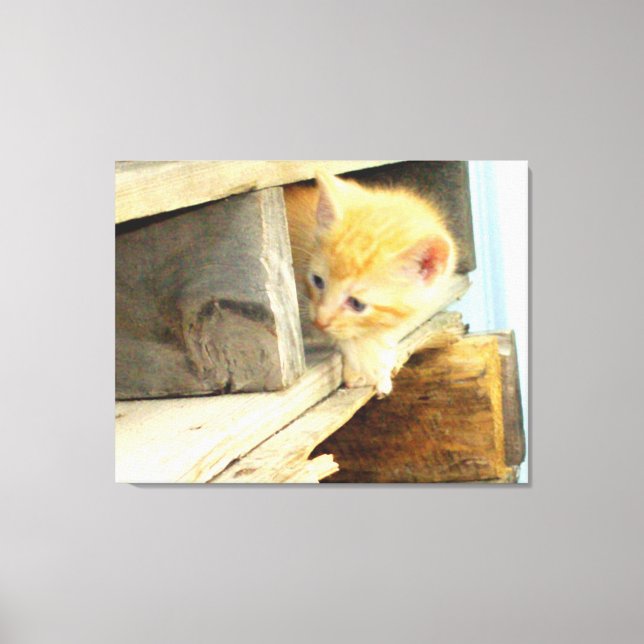 Cucharas de carne 1 lienzo envuelto (Anverso)