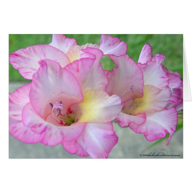 cuchillo rosa lilly_palete (Anverso (Horizontal))