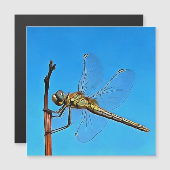Cuelga Ahí La Dragonfly Artística (Anverso/Reverso)
