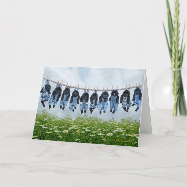 Cuelga ahí la tarjeta de saludo de cachorro (Anverso)