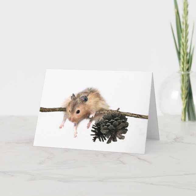 Cuelga la tarjeta (Anverso)