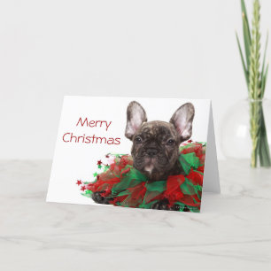 Cuello del navidad del bulldog que lleva francés
