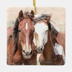 Cuenca de lavado de arena Ornamento de cerámica pa