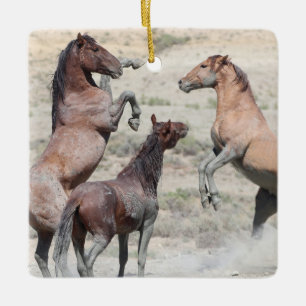 Cuenca de lavado de arena Ornamento de cerámica pa