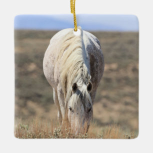 Cuenca de lavado de arena Ornamento de cerámica pa