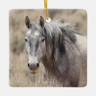 Cuenca de lavado de arena Ornamento de cerámica pa