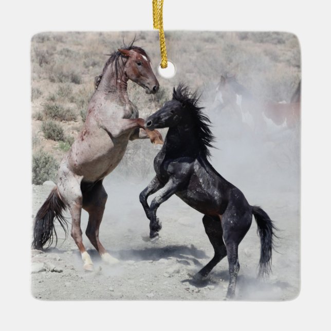 Cuenca de lavado de arena Ornamento de cerámica pa (Anverso)