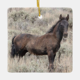 Cuenca de lavado de arena Ornamento de cerámica pa