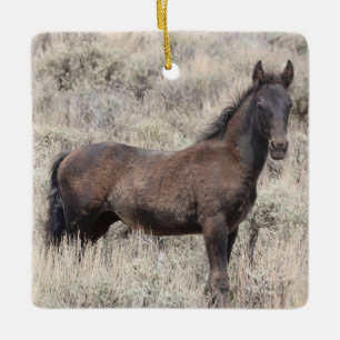 Cuenca de lavado de arena Ornamento de cerámica pa