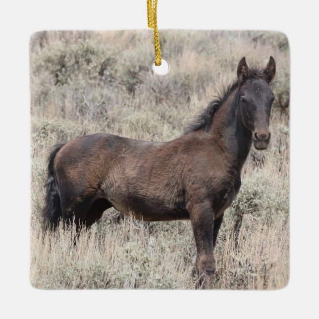 Cuenca de lavado de arena Ornamento de cerámica pa (Anverso)