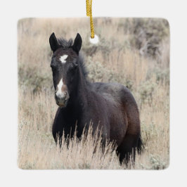 Cuenca de lavado de arena Ornamento de cerámica pa