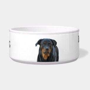 Cuenco amonestador del perro del Drool de