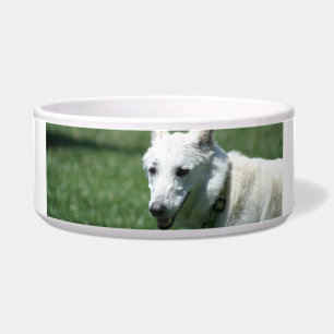 Cuenco blanco del perro de pastor alemán