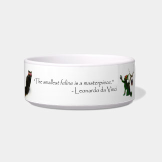 Cuenco brutal del gato de Sun