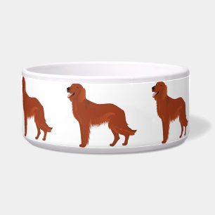 Cuenco con el setter irlandés rojo