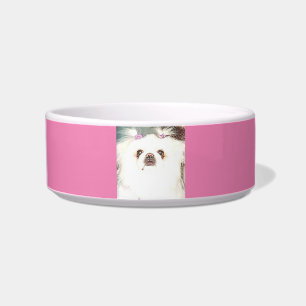 Cuenco de cerámica para perros pekingese.