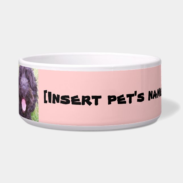 Cuenco de Cockapoo (Frente)