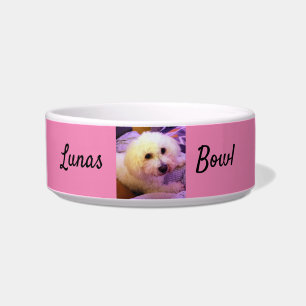 Cuenco de perro