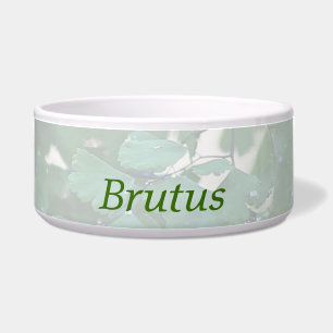 cuenco de perro de helecho de maidenhair